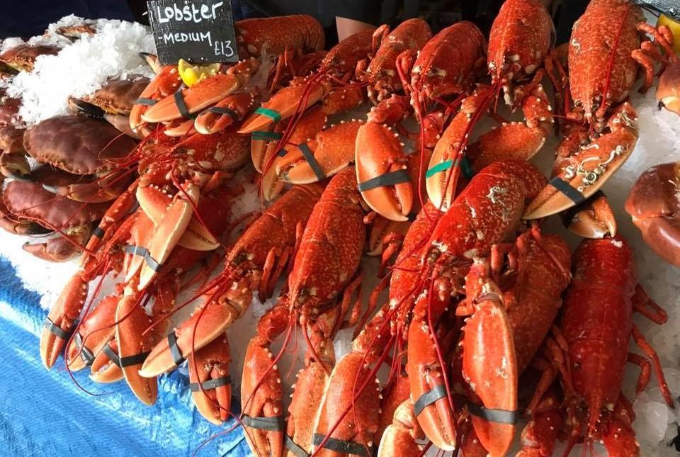 Lobsters at Newlyn Fish Festival