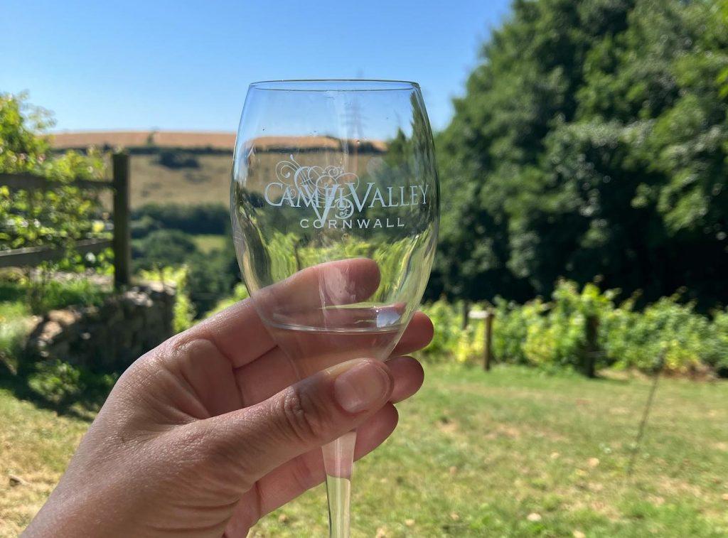 Camel Valley wineglass at the vineyard
