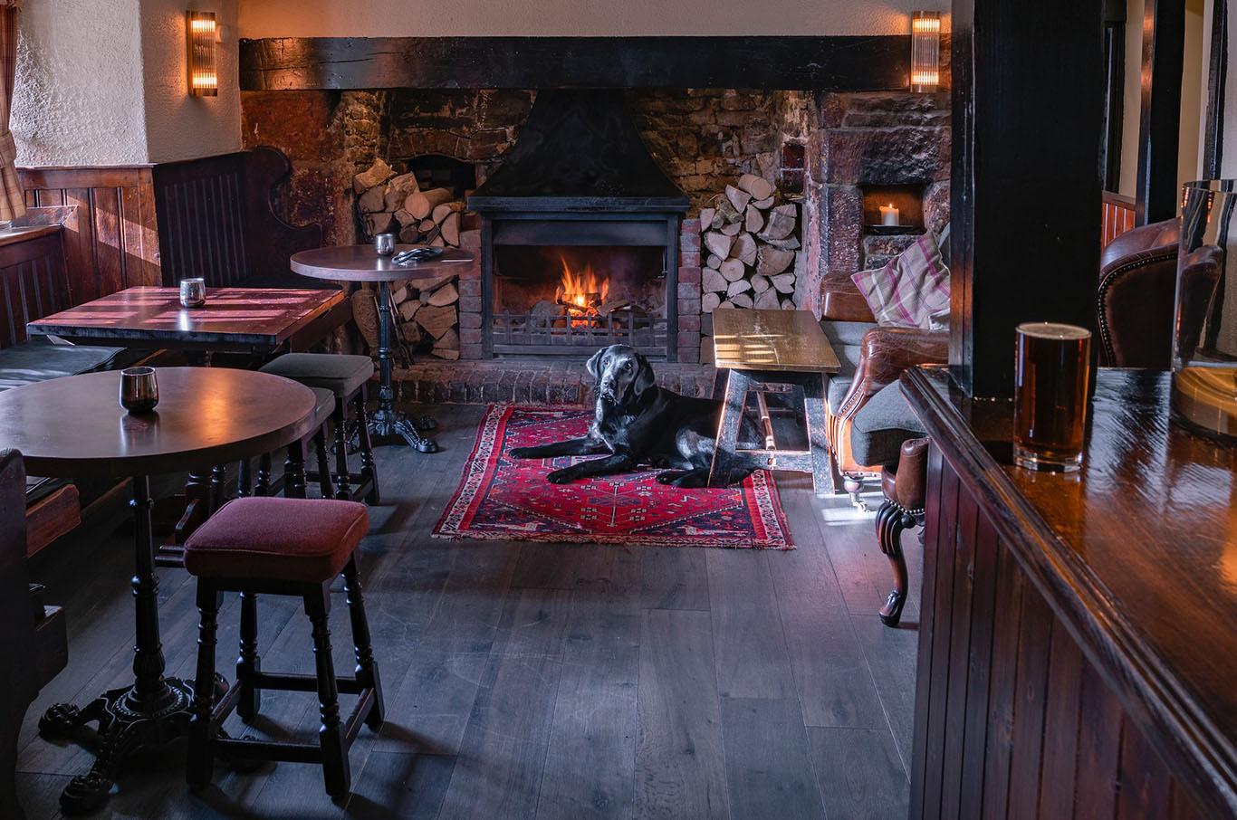 Dog in front of a fire in a Cornish pub