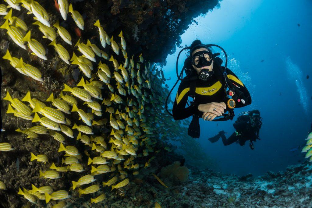 scuba diving in Cornwall