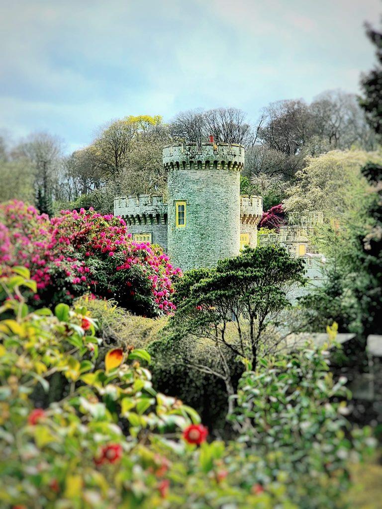 Caerhays castle through the plants
