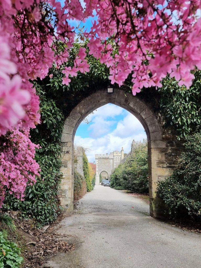 Caerhays garden with magnolias surrounds the historic archway