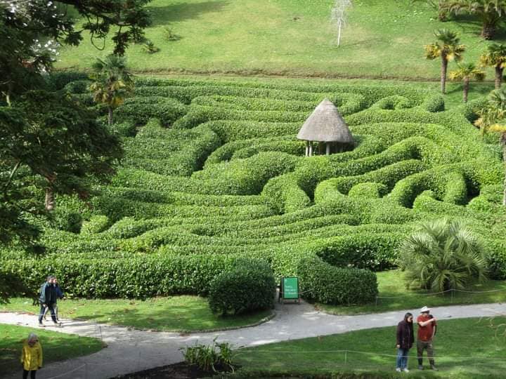 Glendurgan garden maze
