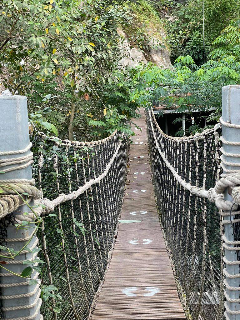 eden project bridge inside the rainforest dome