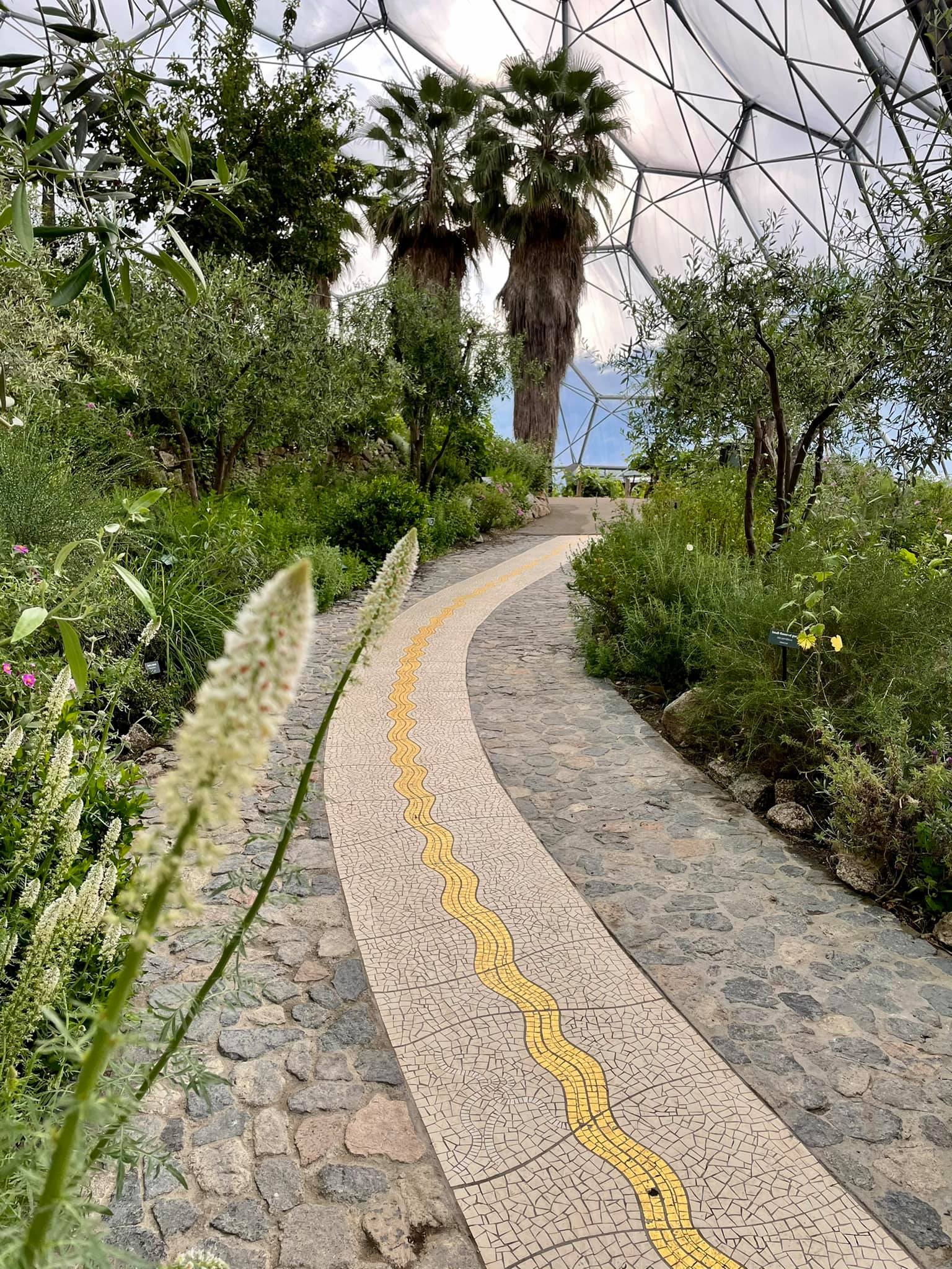 Inside the Mediterranean Biome at the Eden Project