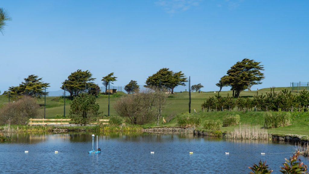 holywell golf pond