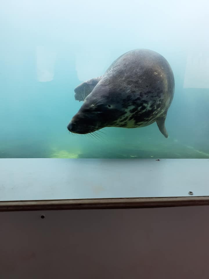 seal in a tank